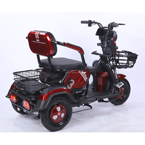 Triciclo Eléctrico Motorizado <span class=keywords><strong>de</strong></span> 3 Ruedas <span class=keywords><strong>para</strong></span> <span class=keywords><strong>Adultos</strong></span>, Tipo Carrocería Abierta, 48V 60V 600W, Venta al Por Mayor <span class=keywords><strong>de</strong></span> Fábrica 2025 - Product Image 5