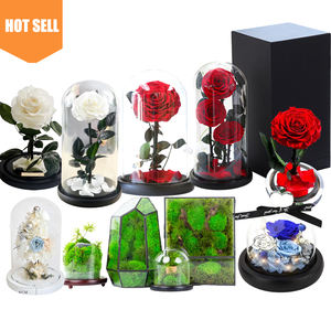 Oses-Flor preservada eterna de <span class=keywords><strong>China</strong></span>, flor preservada de belleza al por mayor en cúpula de cristal - Product Image 1