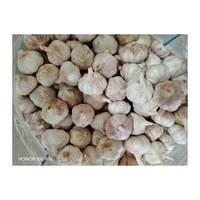 Ail frais chinois 1kg, emballage carton, prix de gros, fournisseur chinois de premier plan, ail blanc frais