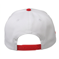 Casquette de baseball vintage personnalisée à 5 panneaux, visière plate, style urbain, sportive, brodée, unisexe, taille unique, tendance