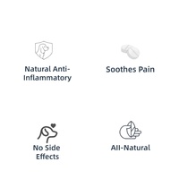 Suplemen Multi-Nutrisi Hewan Peliharaan - Minyak Ikan Kulit Willow - Vitamin Mineral Penunjang Pencernaan dan Bulu untuk Anjing Kucing - 120 Kapsul