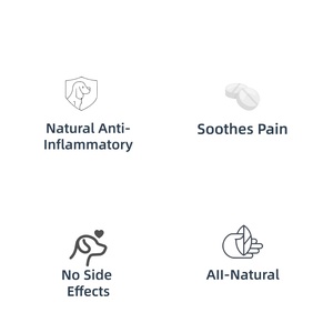 Suplemento para Mascotas OEM y ODM para Perros y Gatos, Control del Dolor para Mascotas, Sin Efectos Secundarios - Product Image 2