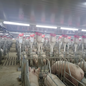 กรงคลอดสุกรแบบ OEM ขายส่ง คุณภาพดี เป็นมิตรต่อสิ่งแวดล้อม สภาพใหม่ - Product Image 1