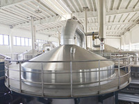 Usine de production de bière annuelle complète de 350 000 HL avec cuve sous pression contrôlée par PLC, du brassage à la mise en bouteille et au conditionnement