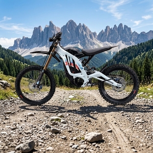 Nueva Motocicleta Surron Lbx Sur Ron 2026, 10000w 72v, Alto Rendimiento, Motocicleta Eléctrica Todoterreno para Adultos, Light X 2026 Light Bee 10kw, Nueva 2026 - Product Image 3