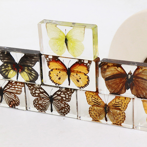 Insecto en Resina, Mariposa Real Preservada, Colección de Especímenes, Pisapapeles, Especímenes de Insectos, Artesanías de Resina, Especímenes de <span class=keywords><strong>Animales</strong></span> - Product Image 4