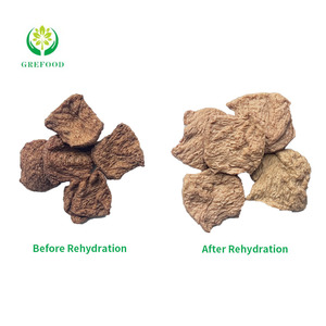 Proteína vegetal texturizada TVP Productos de soja de carne vegana de alta calidad Comida HALAL Muestra gratis Proteína de carne para vegetarianos - Product Image 3