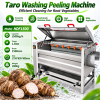 Machine à Éplucher le Manioc, Machine de Fabrication de Gari, Lavage et Épluchage pour Production de Garri