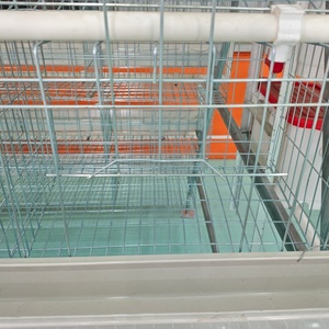 Cage à poules pondeuses de type A/<span class=keywords><strong>H</strong></span>/D à 3/4 niveaux, 96/120/128/160, cage à poules pondeuses pour 1000 oiseaux avec système d'abreuvement automatique - Product Image 5