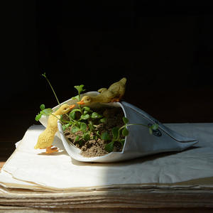 ED11945A Cute Resin Crafts Desktop Decorative Gift Object Resin Ducks with Envelope Statue <strong>Tiny</strong> Flower Pot Bonsai <strong>Figurine</strong> - Product Image 4