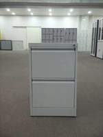 Meuble de bureau Armoire à deux tiroirs en métal avec rail amovible Armoire de rangement bibliothèque en acier
