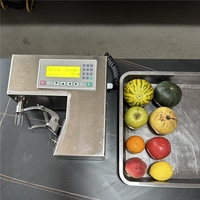 PS Mini Desktop Bieten- en Sinaasappelschiller Fruit- en Groenteschilmachine
