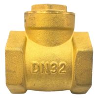 Clapet anti-retour hydraulique unidirectionnel en acier inoxydable 304/316/laiton DN15-DN1200 certifié ISO9001 à filetage vertical général
