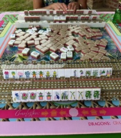 Set Ubin Mahjong Akrilik Amerika Bergaya Pop Art Cerah dengan Gambar Burung Bangau Bunga-bunga Modern Mewah yang Dilukis Tangan, untuk Pesta Permainan Mahjong Malam Wanita