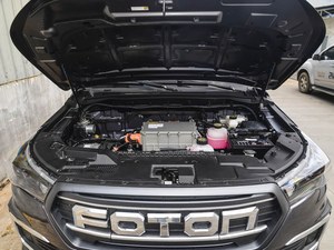 Foton Pickup Truck 4WD Mini <strong>Light</strong> Automatic Right Steering <strong>Electric</strong> Pickup Cargo Truck <strong>Electric</strong> <strong>Vehicle</strong> - Product Image 3