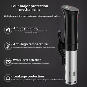 Elektrische temperatuurgecontroleerde sous-vide-machine voor lage temperaturen Vacuümverzegelde steakmaker Apparaat voor moleculaire gastronomie Langzaam - Product Image 2