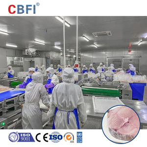 Sistema de Refrigeración y Almacenamiento CBFI, Cámaras Frigoríficas de Alta <span class=keywords><strong>Calidad</strong></span>, Congelador Industrial para Mariscos - Product Image 1