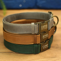 Collier pour chien en cuir de haute qualité avec accessoires en laiton antique - Marquage au laser de logo personnalisé pour fournitures professionnelles pour animaux de compagnie