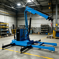 Mini-grue à tour hydraulique rotative portable avec treuil électrique télécommandé et grue de voiture