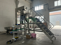 Machine d'emballage et d'étiquetage entièrement automatique haute productivité pour grains de café, riz, feuilles de thé, sachets de thé, sachets en papier de qualité alimentaire, certifiée CE