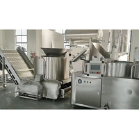 Continue, hoogproductieve, volautomatische lijn voor de verwerking van pinda's en brede bonen met mixer en friteuse voor frituurproductie