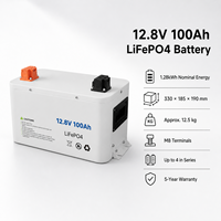 Batería de Litio de Ciclo Profundo Arcane Surge WKC-F06-1280 12.8V 100Ah LiFePO4 1.28kWh, 4000 Ciclos, para Almacenamiento de Energía Solar RV, 12.5kg