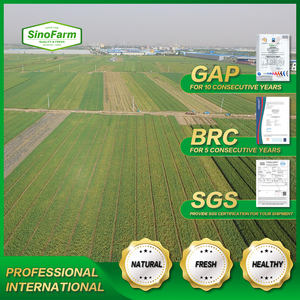 Ajo Orgánico <span class=keywords><strong>Fresco</strong></span> de Granja para Sazonar Curry, Soplas y Bocadillos - Product Image 4