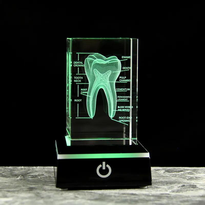 أعلى جودة 3D كريستال الأسنان محفور مكعب حرفة الفم مستشفى الأسنان الهدايا التذكارية المدرسية