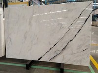 Dalles de pierre de marbre blanc Marmol Natural Panda de haute qualité et carreaux de sol Prix direct d'usine