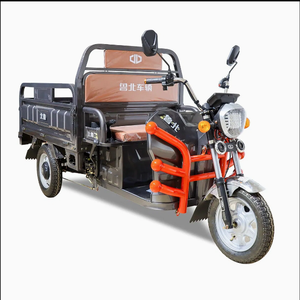 Petit tricycle solaire puissant en aluminium à carrosserie ouverte avec benne basculante motorisée pour adultes, moto - Product Image 4