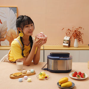 ผู้ผลิตโดยตรง, เสียงรบกวนต่ำ, การออกแบบที่ทันสมัย, 90วัตต์, 0.6ลิตร, สำหรับกิจกรรมและการใช้ในเชิงพาณิชย์-บริการ<span class=keywords><strong>เครื่อง</strong></span>ให้<span class=keywords><strong>เช่า</strong></span>ที่นุ่มนวล - Product Image 5