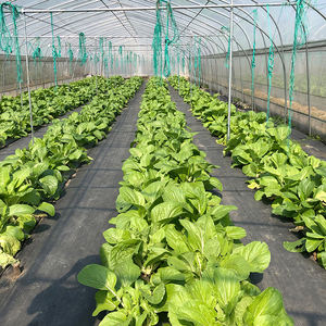 Ape da giardino 3 anni senza inquinamento ad alto rendimento Film per serra pellicola di conversione della luce agricola in plastica, pellicola per serra - Product Image 2