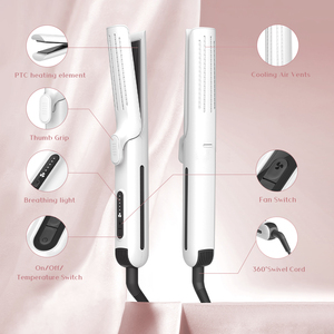 <span class=keywords><strong>Lisseur</strong></span> à air chaud électrique professionnel à grande vitesse et sèche-cheveux fer à lisser humide et sec - Product Image 6