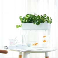 Offres Spéciales nouveau type Mini Jardinière D'intérieur système Aquaponique hydroponique Plat de Poisson