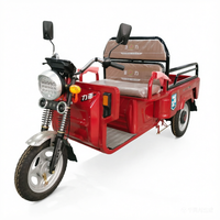 Vehículo Eléctrico, Motor de 800w, Dimensiones 2400*790*1120mm, Triciclos Eléctricos de Pasajeros de Alta Calidad