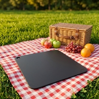 Plaque de cuisson en acier multi-usages pour fours et grils, plaque à pizza en acier