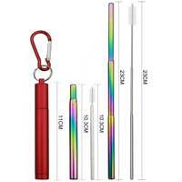 Paille à boire pliable en acier inoxydable réutilisable portable paille télescopique avec étui porte-clés en aluminium