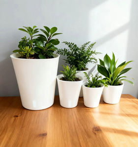 Vente en gros de pots de plantes en plastique transparents carrés de 7,5 cm de haute qualité, pots auto-arrosants blancs pour <span class=keywords><strong>jardin</strong></span> d'intérieur - Product Image 6