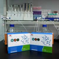 Kit de recherche ELISA pour l'alpha-amylase salivaire humaine (sAA)