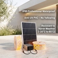 Bande LED solaire professionnelle IP65 de 10M à 100M, flexible, avec télécommande, pour projets paysagers commerciaux et résidentiels