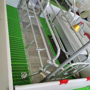 Fabrika fiyat toptan domuz çiftliği domuz kafesi ekipmanları yetiştiriciliği tezgahları PVC Sow Farrowing sandık - Product Image 3