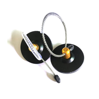 Système de sécurité Eas Am 58khz Étiquette de bouteille, alarme antivol Étiquette rigide pour bouteille de vin Rf 8.2mhz avec cordon