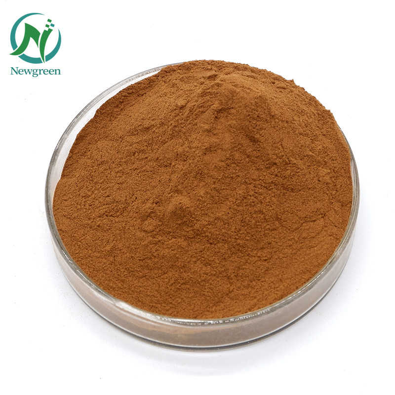 Экстракт растительного экстракта 10:1 Herba Houttuyniae