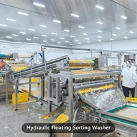 Ligne de mise en conserve automatique LWT pour la mise en conserve de pêches jaunes, avec retourneur de caisses, palettiseur et système de stérilisation alimentaire en acier inoxydable de haute qualité