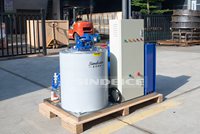 Machine à glace en flocons entièrement automatique de 1 tonne à faible consommation d'énergie, logo personnalisé pour usage agricole SINDEICE