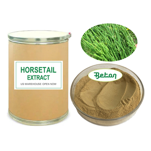 100%天然ホーステールリーフ（葉）ハーブエキスシリカ7% UV含有 エキセタム・アルベンセ（Equisetum Arvense）雌性葉エキス粉末 - Product Image 1