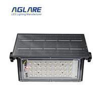 Aglare 30W 50W Lampe solaire à LED Lampe de jardin Maison Projecteur extérieur étanche Projecteur solaire