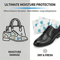 Sachets déshydratants absorbants l'humidité en gros, directement de l'usine, pour vêtements, chaussures, sacs, bagages, stockage anti-humidité, déshumidificateur