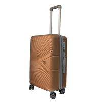 Baiigou — valise à roulettes pour femme, sac à roulettes vip, nouveau design, livraison gratuite, prix d'usine
