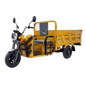 1000W 60V Electric Tricycle 3-Wheel Motorcycle Cargo Farm Usage <b>2</b> <b>Passenger</b> Seat EEC CE Certified Electric Tricycle 1500W Motor - Product Image 2